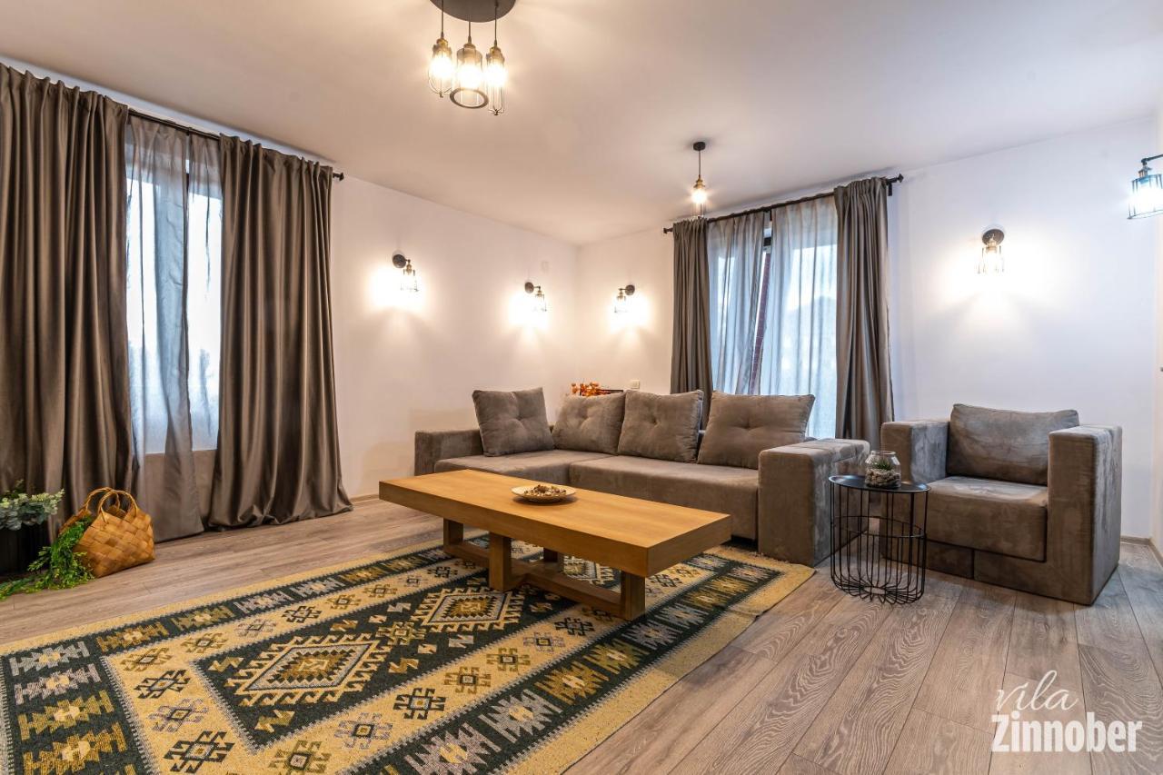 Vila Zinnober Brašov Exteriér fotografie
