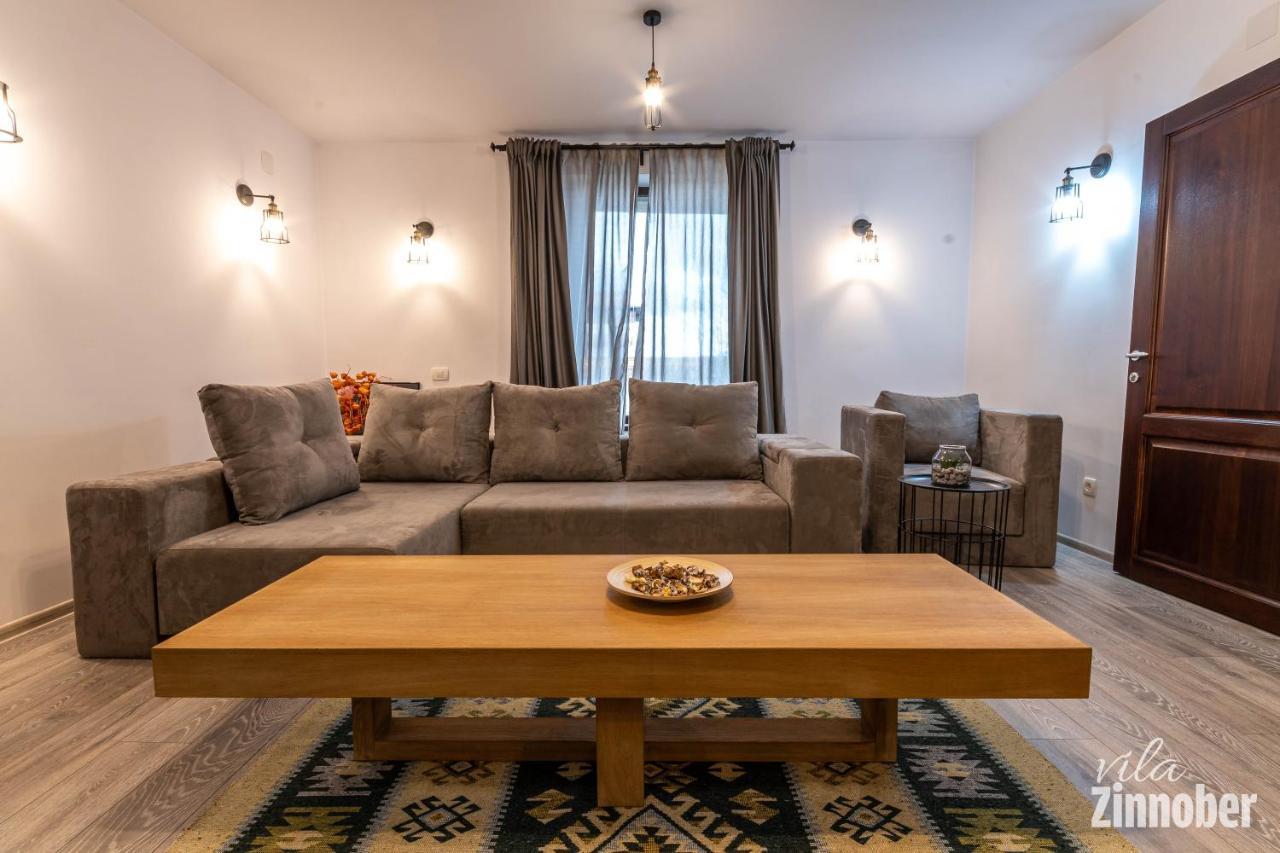 Vila Zinnober Brašov Exteriér fotografie