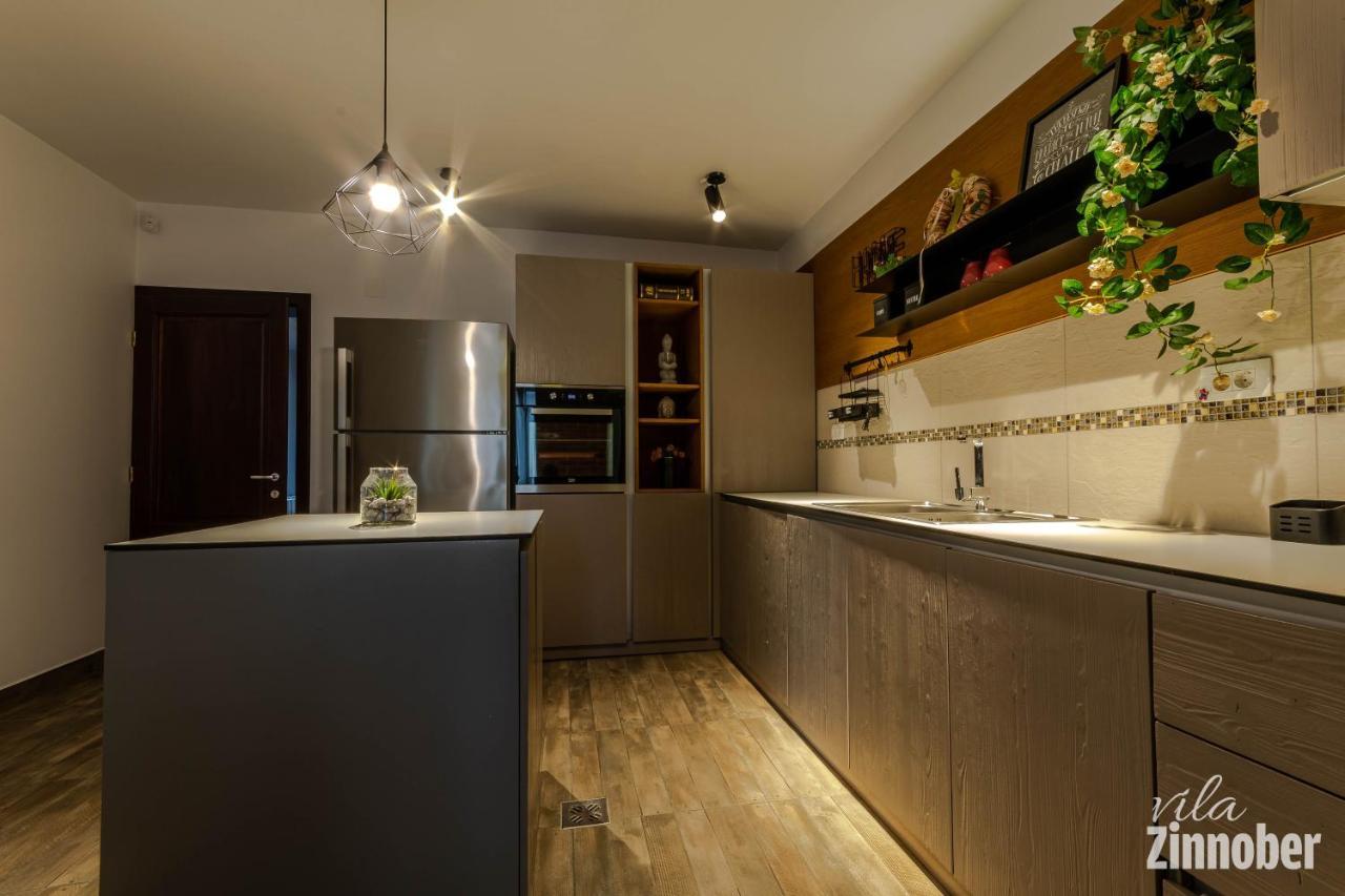 Vila Zinnober Brašov Exteriér fotografie