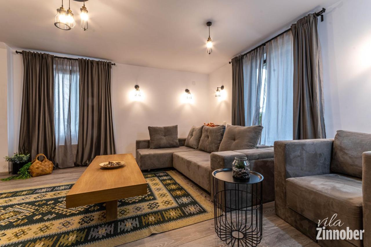 Vila Zinnober Brašov Exteriér fotografie