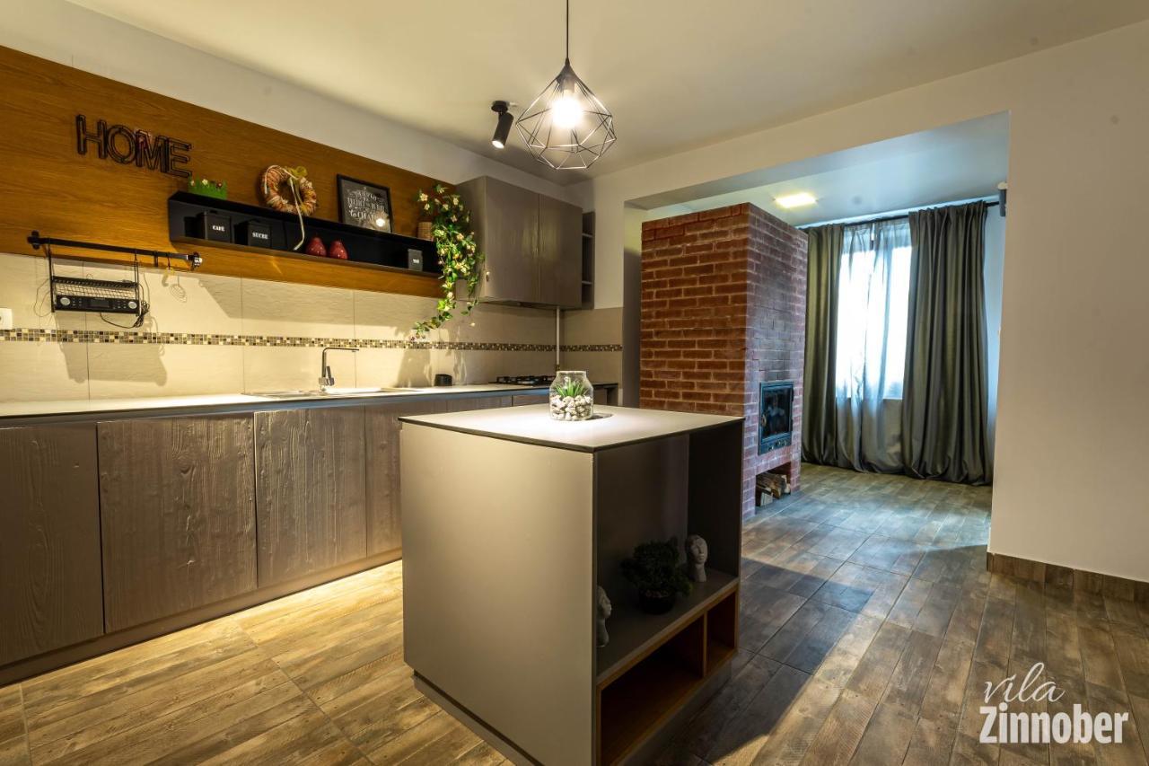 Vila Zinnober Brašov Exteriér fotografie
